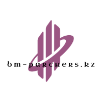 BM Partners